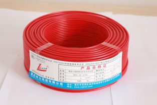 重庆南岸电线电缆工程厂 引领技术开发与行业创新