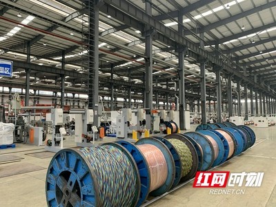 技术驱动产品竞争力提升 望城经开区企业用产品助力疫情防控